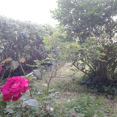 Casa Bindi Triana Bagian luar foto