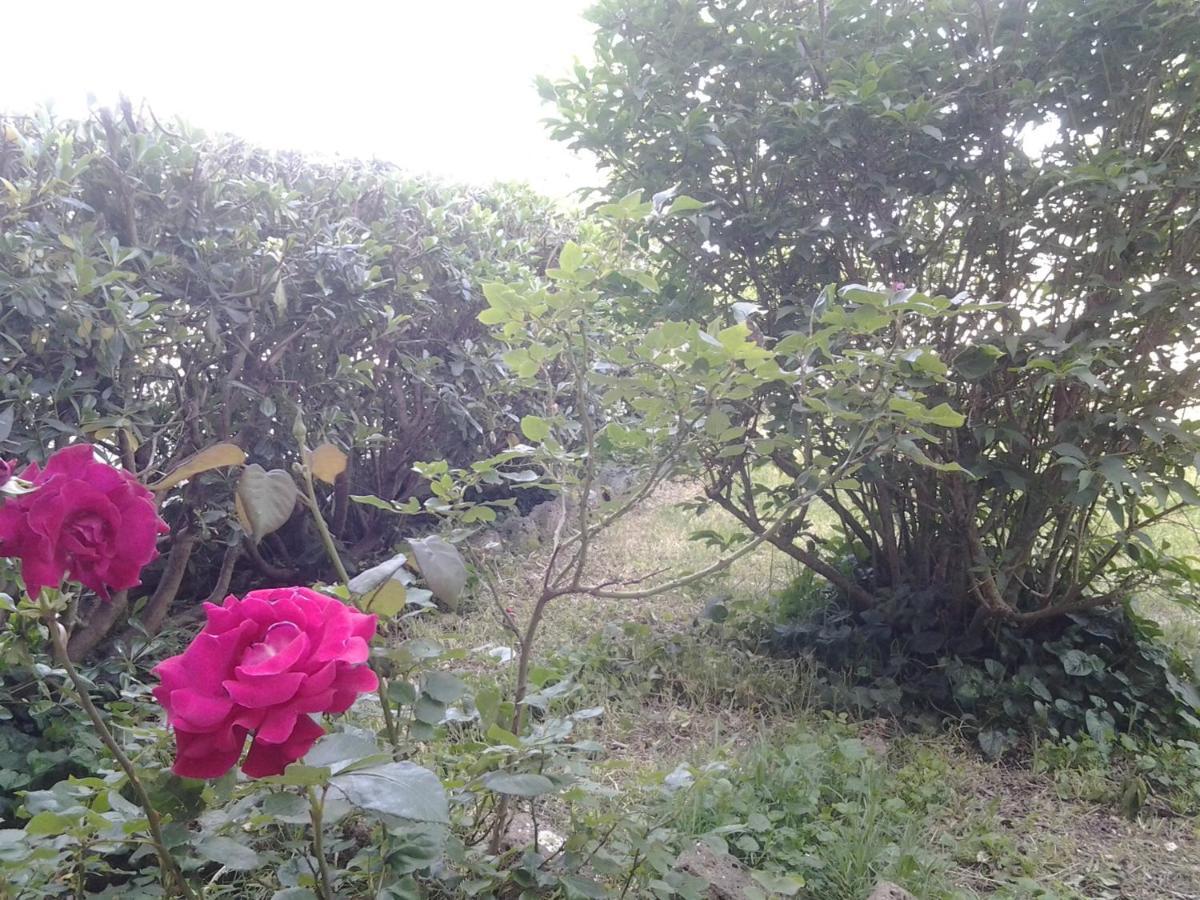 Casa Bindi Triana Bagian luar foto